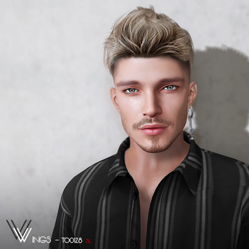 Second Life Marketplace WINGSHAIRTO0128 Variety (Pack)